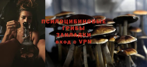 бошки Верея
