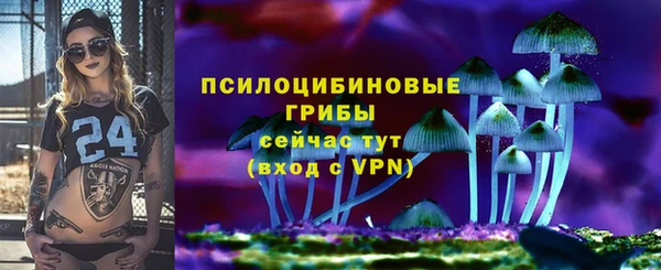 бошки Верея