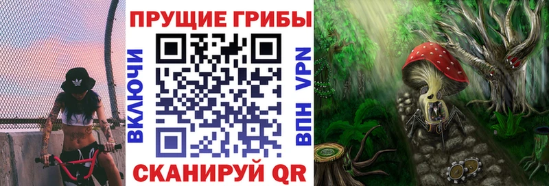 Галлюциногенные грибы MAGIC MUSHROOMS  блэк спрут сайт  Волжск 