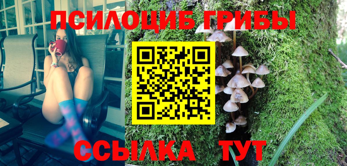 Галлюциногенные грибы Cubensis  Вход с VPN  Волжск 
